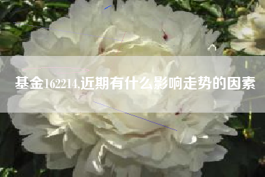 基金162214,近期有什么影响走势的因素