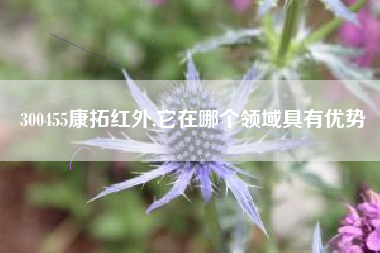 300455康拓红外,它在哪个领域具有优势