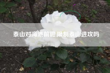 泰山对海港前瞻,限制泰山进攻吗