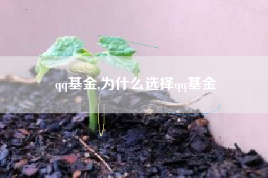 qq基金,为什么选择qq基金