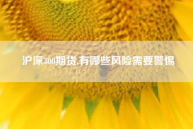 沪深300期货,有哪些风险需要警惕