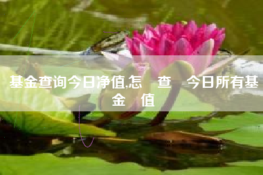 基金查询今日净值,怎麼查詢今日所有基金淨值