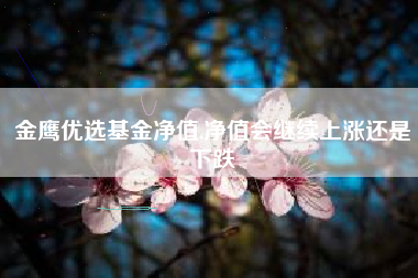 金鹰优选基金净值,净值会继续上涨还是下跌