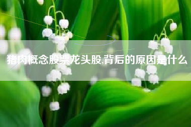 猪肉概念股票龙头股,背后的原因是什么