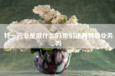 特一药业是做什么的,他们还有其他业务吗