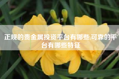 正规的贵金属投资平台有哪些,可靠的平台有哪些特征