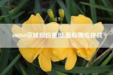 600860京城股份重组,面临哪些挑战