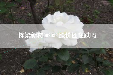 栋梁新材002082,股价还在跌吗