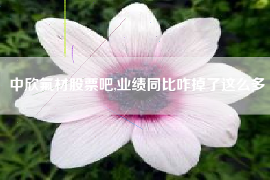 中欣氟材股票吧,业绩同比咋掉了这么多