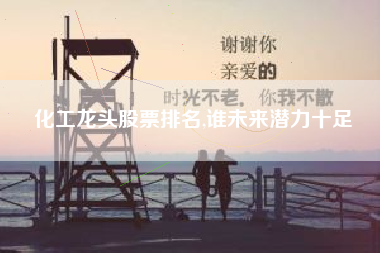 化工龙头股票排名,谁未来潜力十足