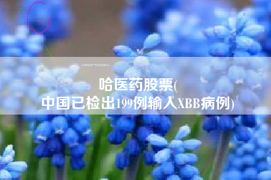 哈医药股票(
中国已检出199例输入XBB病例)