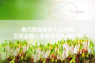 南方稳健基金今日净值(
怎样去看一支基金可不可以买)