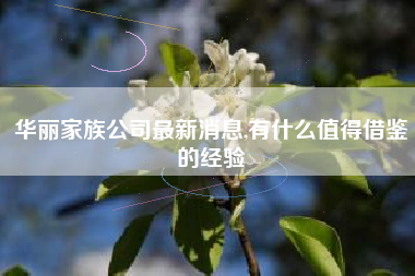 华丽家族公司最新消息,有什么值得借鉴的经验