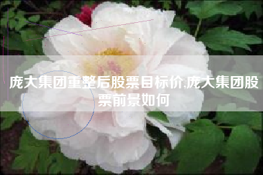 庞大集团重整后股票目标价,庞大集团股票前景如何