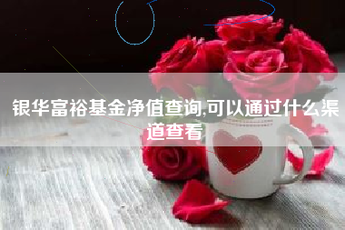 银华富裕基金净值查询,可以通过什么渠道查看