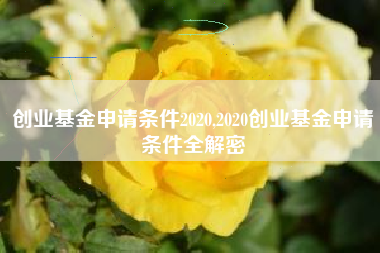 创业基金申请条件2020,2020创业基金申请条件全解密