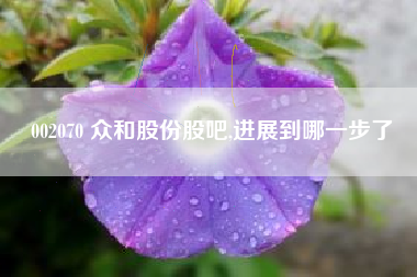 002070 众和股份股吧,进展到哪一步了