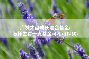 广发大盘成长混合基金(
怎样去看一支基金可不可以买) 广发大盘成长混合基金(
怎样去看一支基金可不可以买)