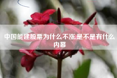 中国能建股票为什么不涨,是不是有什么内幕