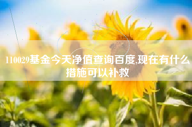 110029基金今天净值查询百度,现在有什么措施可以补救