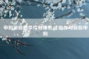 申购新股的条件有哪些,才能参与新股申购