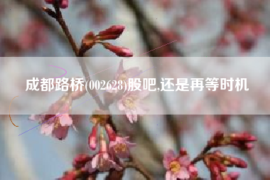 成都路桥(002628)股吧,还是再等时机