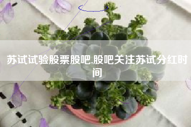 苏试试验股票股吧,股吧关注苏试分红时间