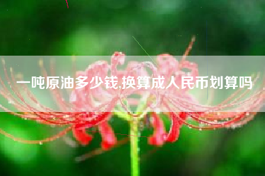 一吨原油多少钱,换算成人民币划算吗