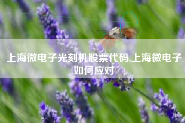 上海微电子光刻机股票代码,上海微电子如何应对