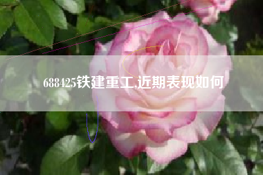 688425铁建重工,近期表现如何