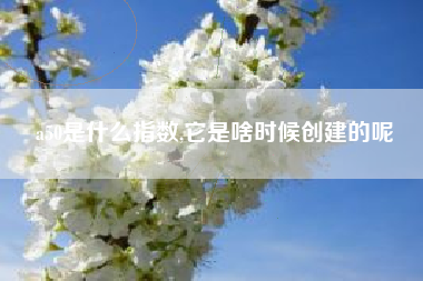 a50是什么指数,它是啥时候创建的呢