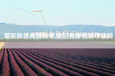 骆驼股份高管名单,他们有哪些管理经验