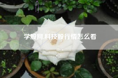学股网,科技股行情怎么看