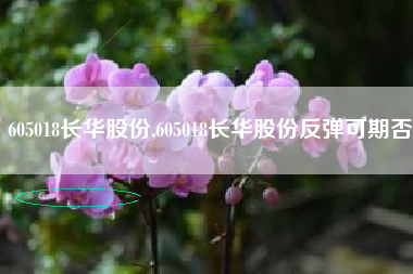 605018长华股份,605018长华股份反弹可期否