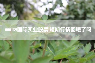 000159国际实业股票,短期行情回暖了吗
