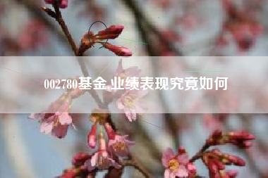 002780基金,业绩表现究竟如何