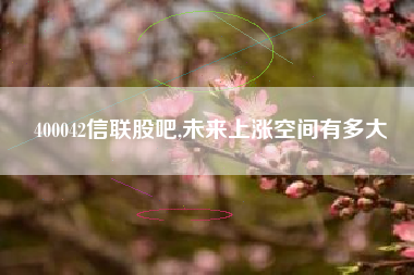 400042信联股吧,未来上涨空间有多大