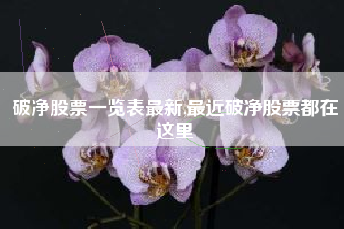 破净股票一览表最新,最近破净股票都在这里