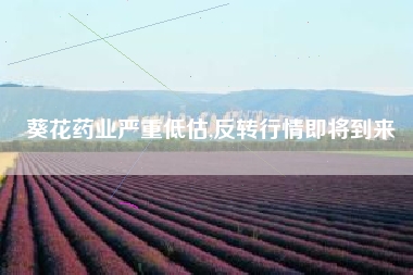 葵花药业严重低估,反转行情即将到来