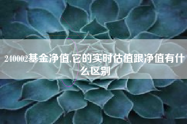 240002基金净值,它的实时估值跟净值有什么区别