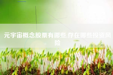 元宇宙概念股票有哪些,存在哪些投资风险