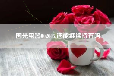 国光电器002045,还能继续持有吗