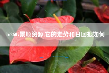 162607景顺资源,它的走势和日回报如何