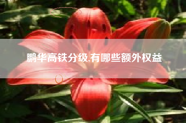鹏华高铁分级,有哪些额外权益
