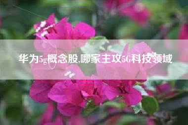 华为5g概念股,哪家主攻5G科技领域