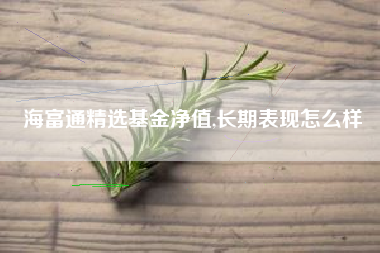 海富通精选基金净值,长期表现怎么样