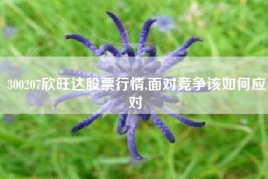 300207欣旺达股票行情,面对竞争该如何应对