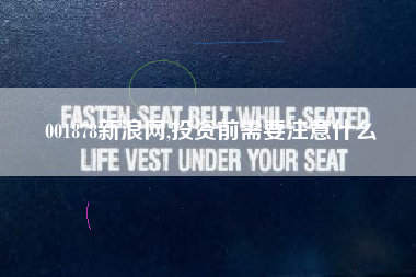 001878新浪网,投资前需要注意什么