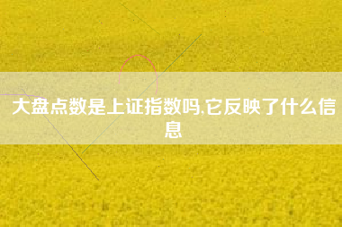 大盘点数是上证指数吗,它反映了什么信息