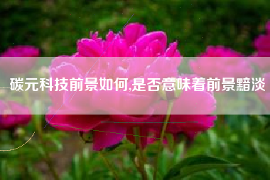 碳元科技前景如何,是否意味着前景黯淡